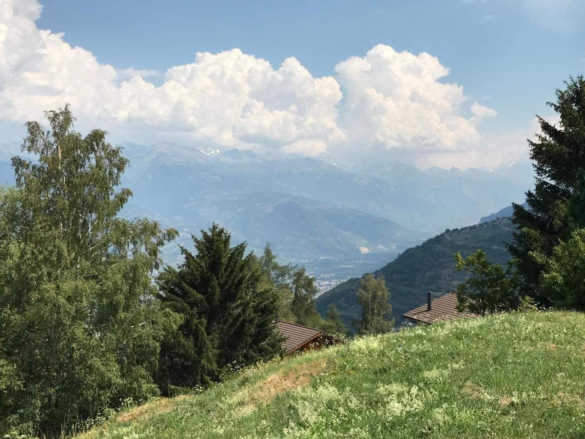 Chalet Pattier Villa Nendaz Exterior photo